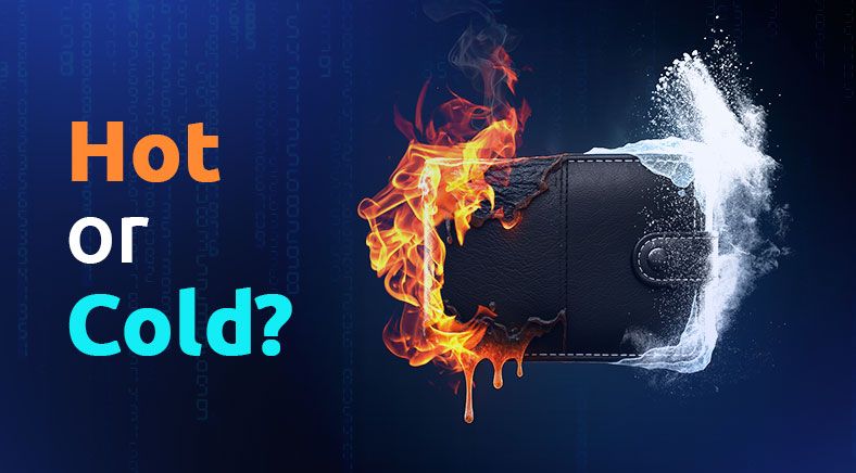 hot-wallet-or-cold-wallet-eng-400x700