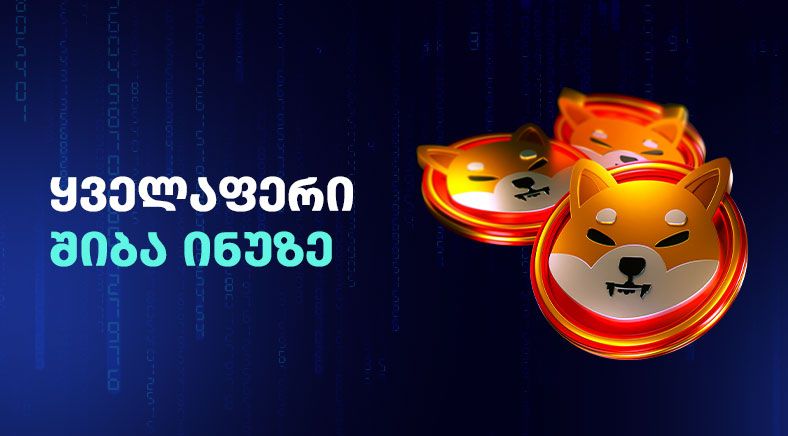 shiba-inu-memecoin-400x700