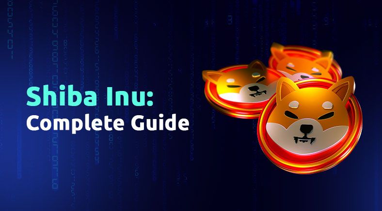shiba-inu-memecoin-eng-400x700
